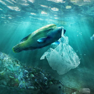 Countries Agree to Develop a Historic Treaty to Tackle Plastic Pollution