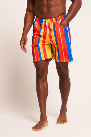 Vertical Stripe Swim Trunk